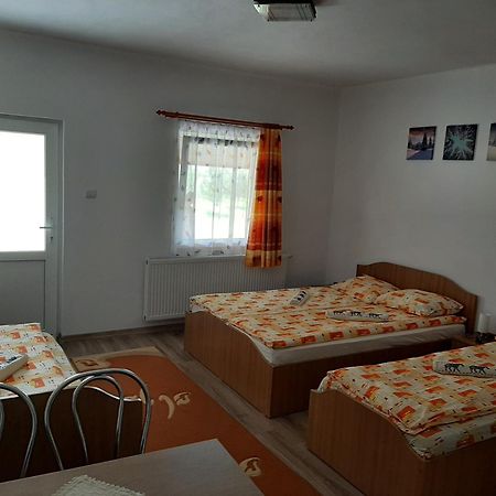 Kacso Apartma Ocna de Sus Dış mekan fotoğraf