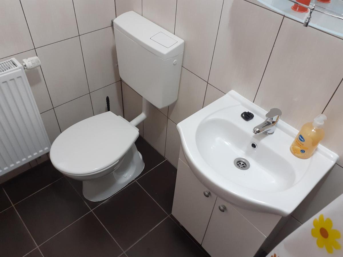 Kacso Apartma Ocna de Sus Dış mekan fotoğraf
