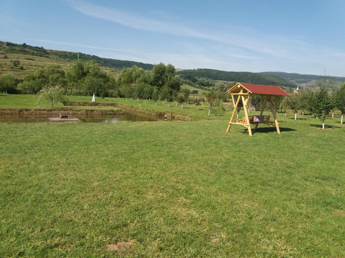 Kacso Apartma Ocna de Sus Dış mekan fotoğraf