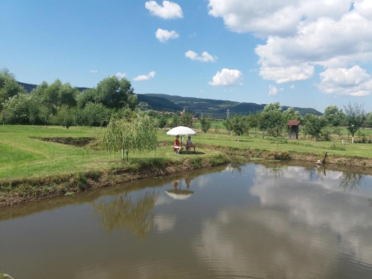 Kacso Apartma Ocna de Sus Dış mekan fotoğraf
