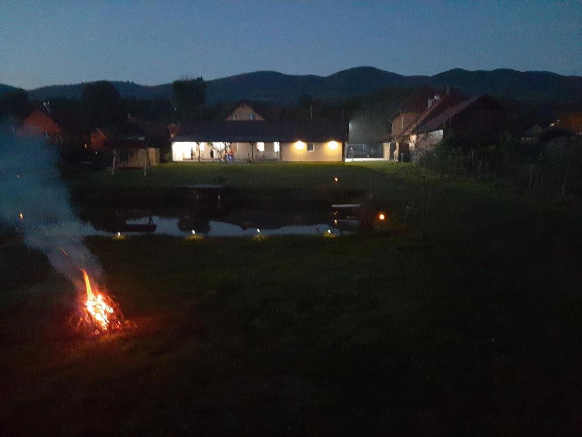 Kacso Apartma Ocna de Sus Dış mekan fotoğraf