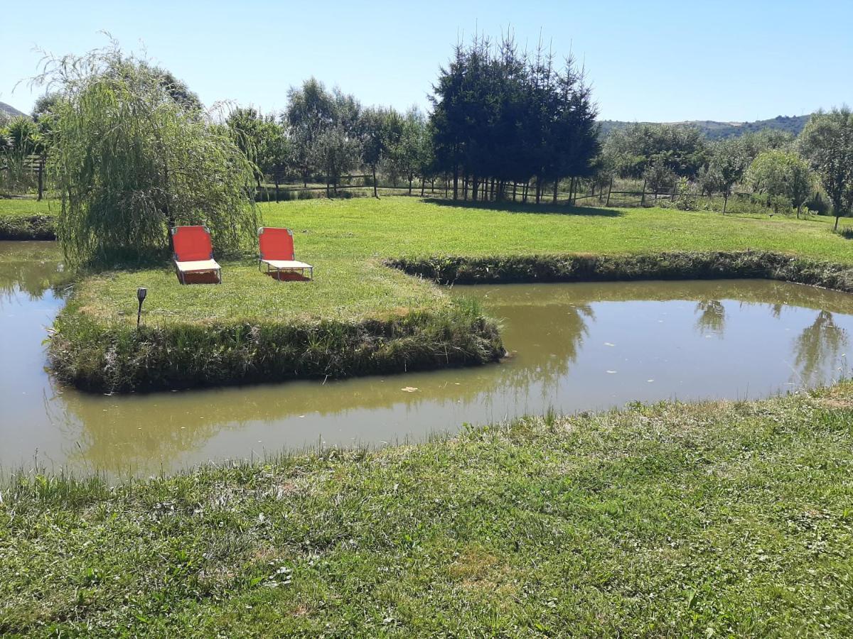 Kacso Apartma Ocna de Sus Dış mekan fotoğraf
