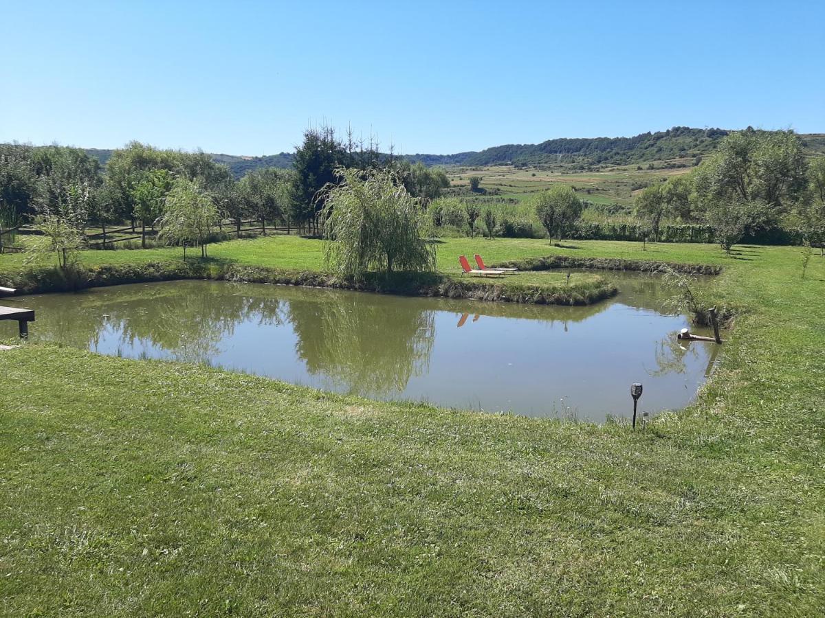 Kacso Apartma Ocna de Sus Dış mekan fotoğraf