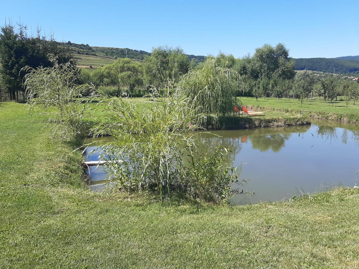 Kacso Apartma Ocna de Sus Dış mekan fotoğraf