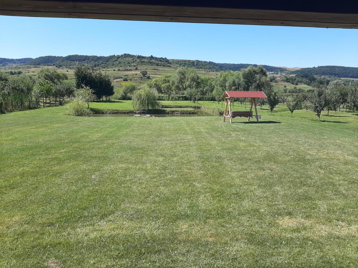 Kacso Apartma Ocna de Sus Dış mekan fotoğraf