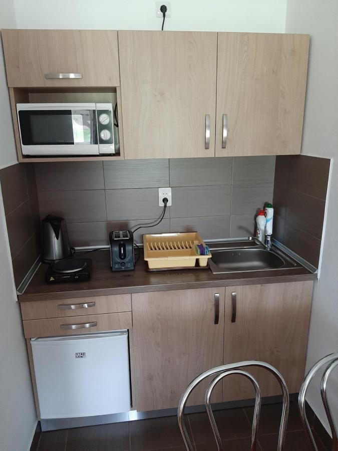Kacso Apartma Ocna de Sus Dış mekan fotoğraf