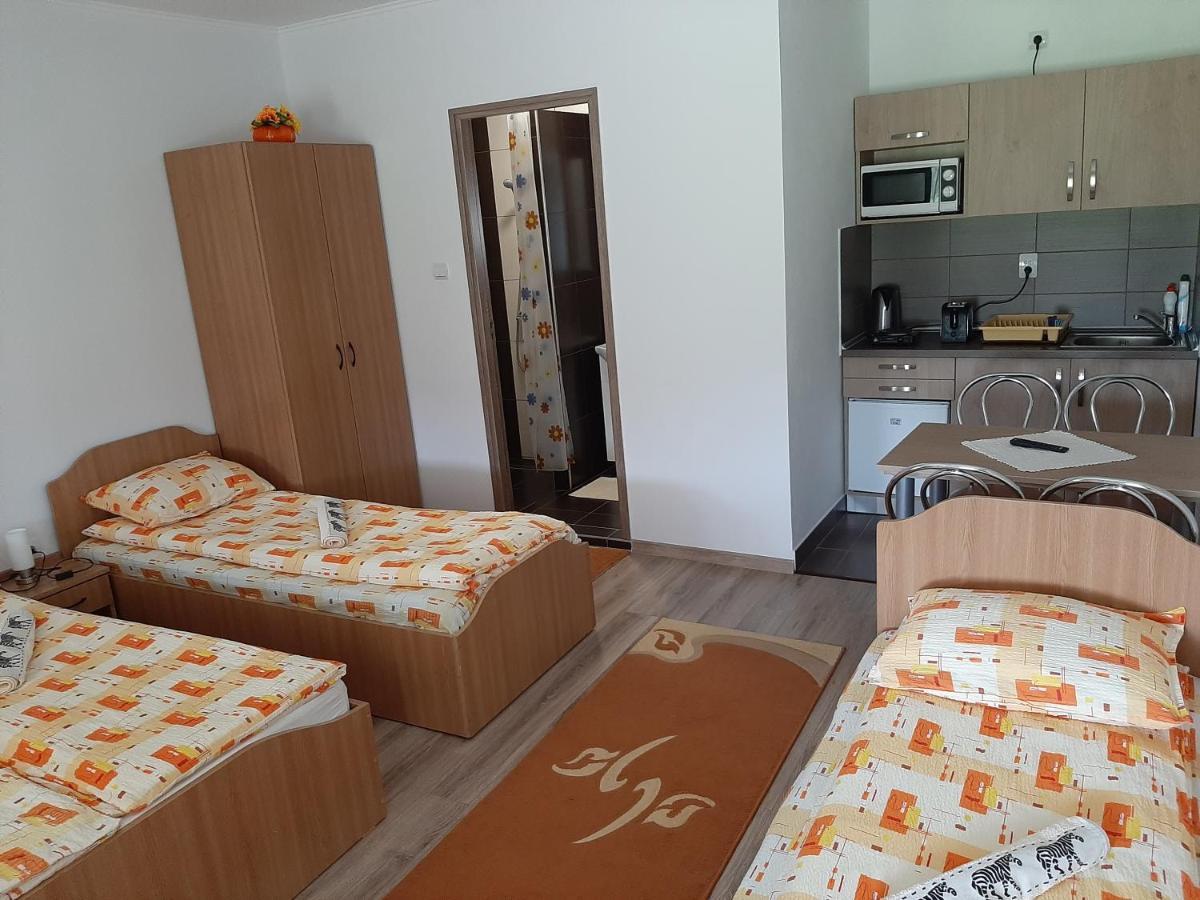 Kacso Apartma Ocna de Sus Dış mekan fotoğraf